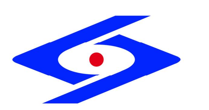 林洋能源logo