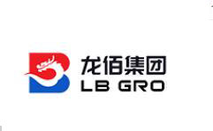 龍佰集團logo